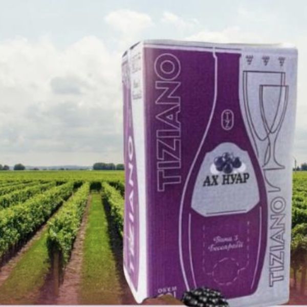Вино ординарне столове Ах Нуар, червоне, напівсолодке, з нотою ожини та малини 10л. ТМ TIZIANO