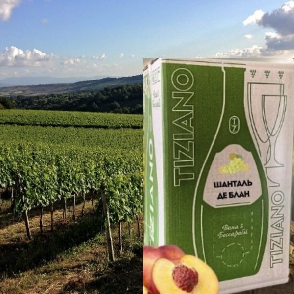 Вино ординарне столове Шанталь де Блан, біле, напівсолодке, з нотою персику та абрикосу 10л. ТМ TIZIANO
